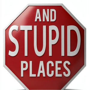 Pun Book by AMARA PUBLISHING eBook – 90 Pages of Word Play Humor-0